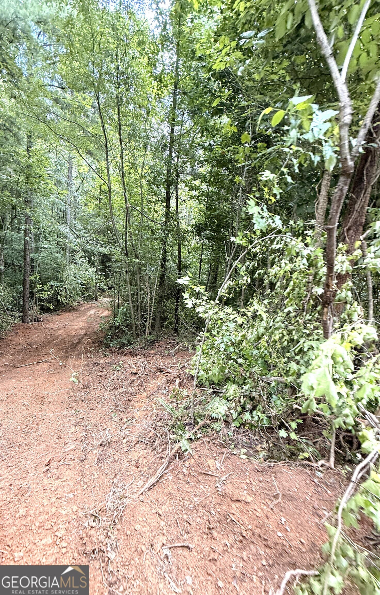unimproved land for sale at 0 County Road 40, Fruithurst, AL 36262 — photo 8