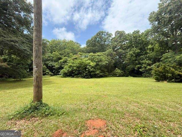 residential lot for sale at 727 S 9th Street, Griffin, GA 30224 — photo 3