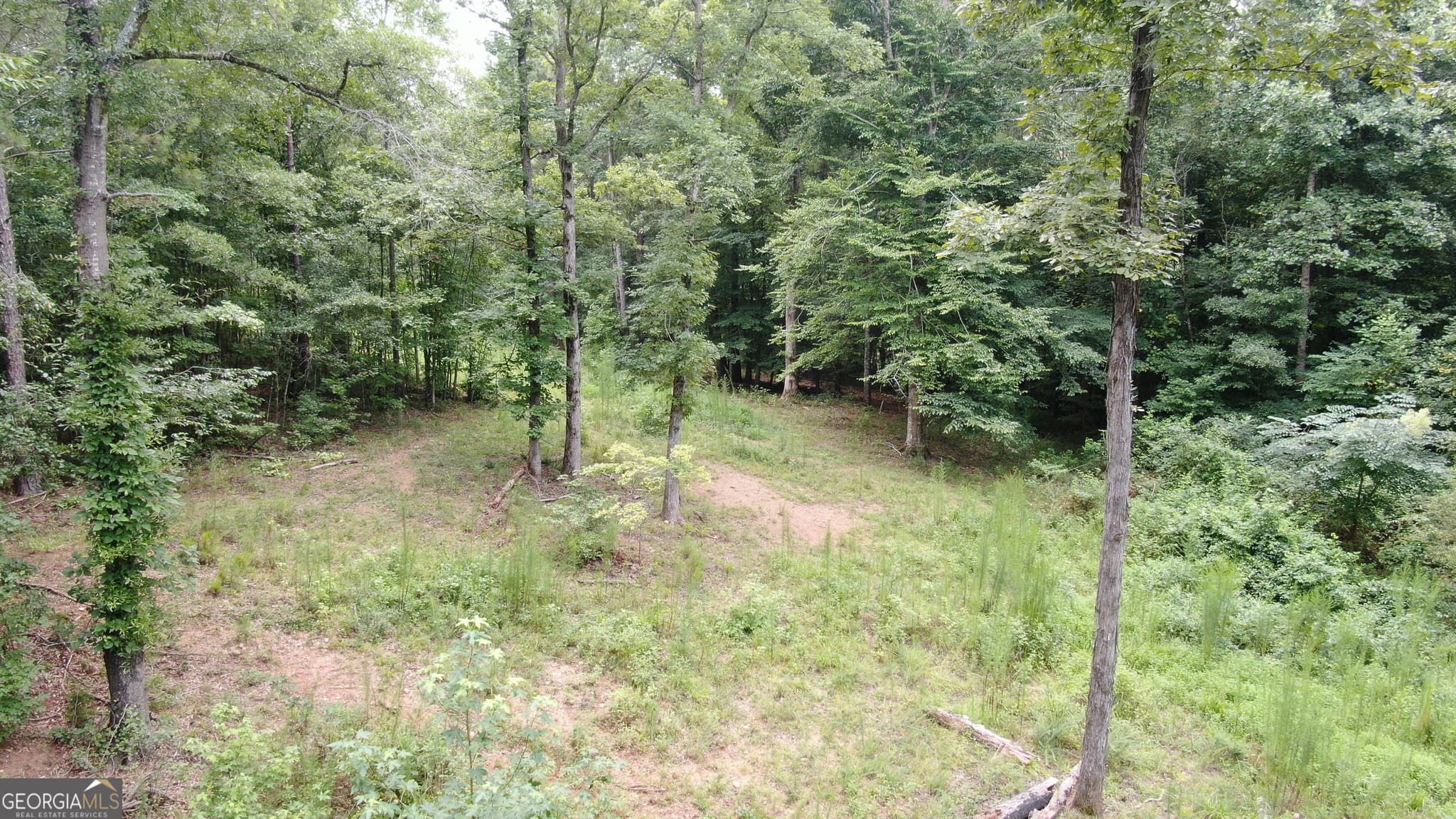 agriculture for sale at 813 Jackson Lake Road, Jackson, GA 30233 — photo 10