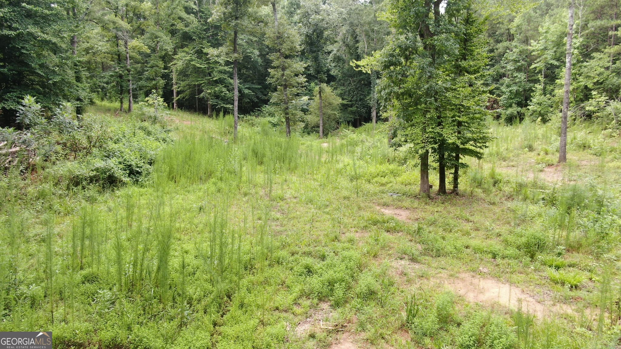 agriculture for sale at 813 Jackson Lake Road, Jackson, GA 30233 — photo 8