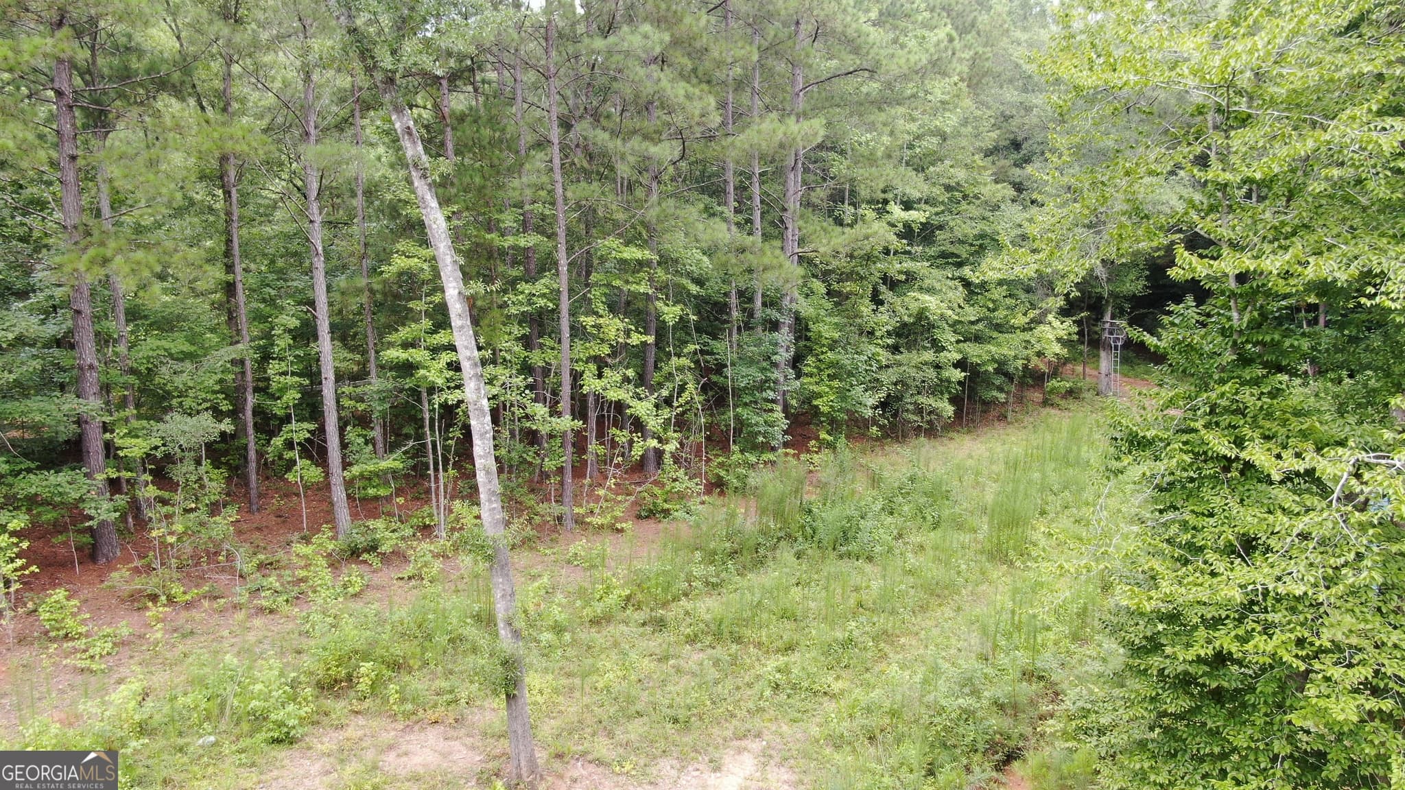 agriculture for sale at 813 Jackson Lake Road, Jackson, GA 30233 — photo 9