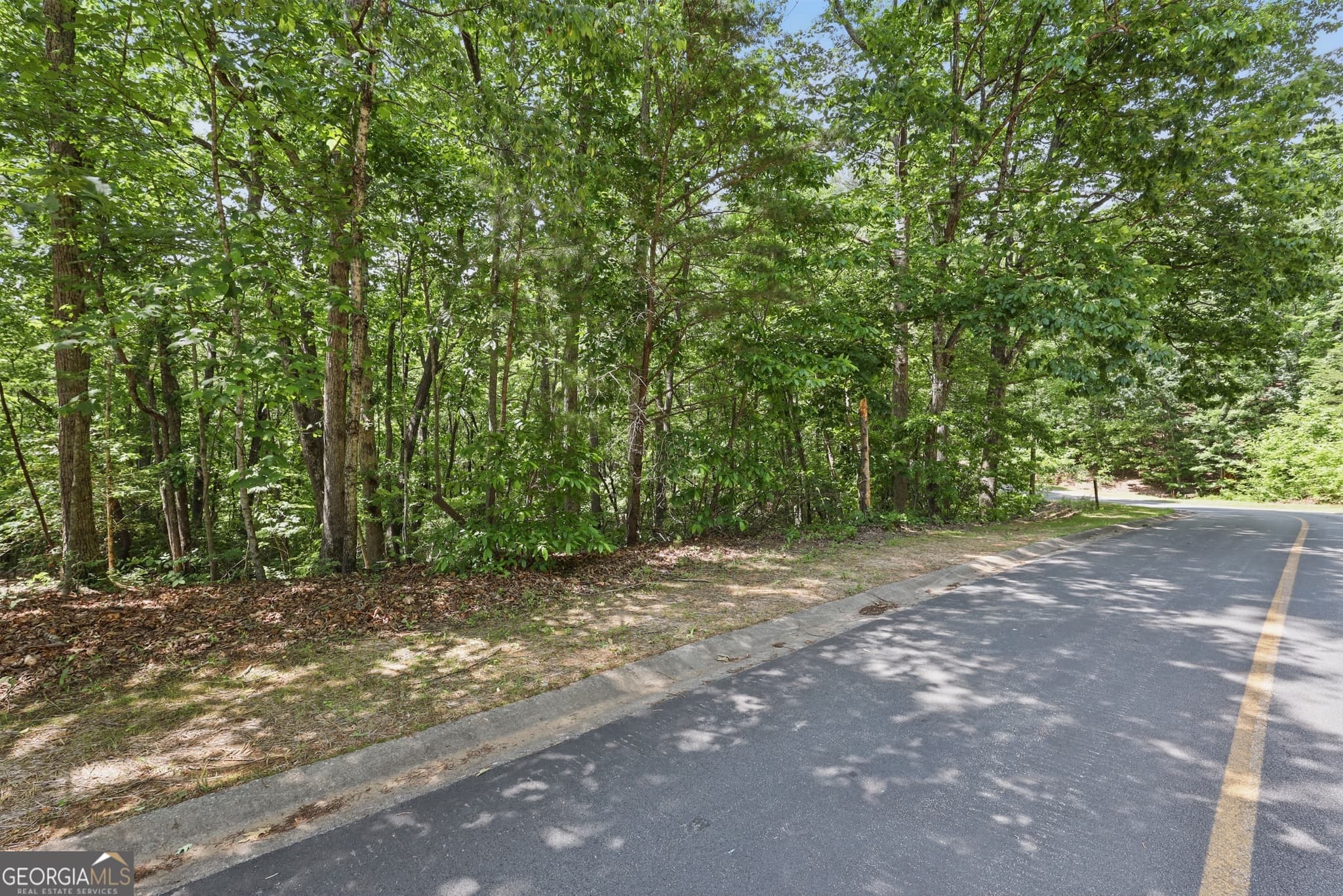 residential lot for sale at 0 Plum Lane LT 53, Clarkesville, GA 30523 — photo 2