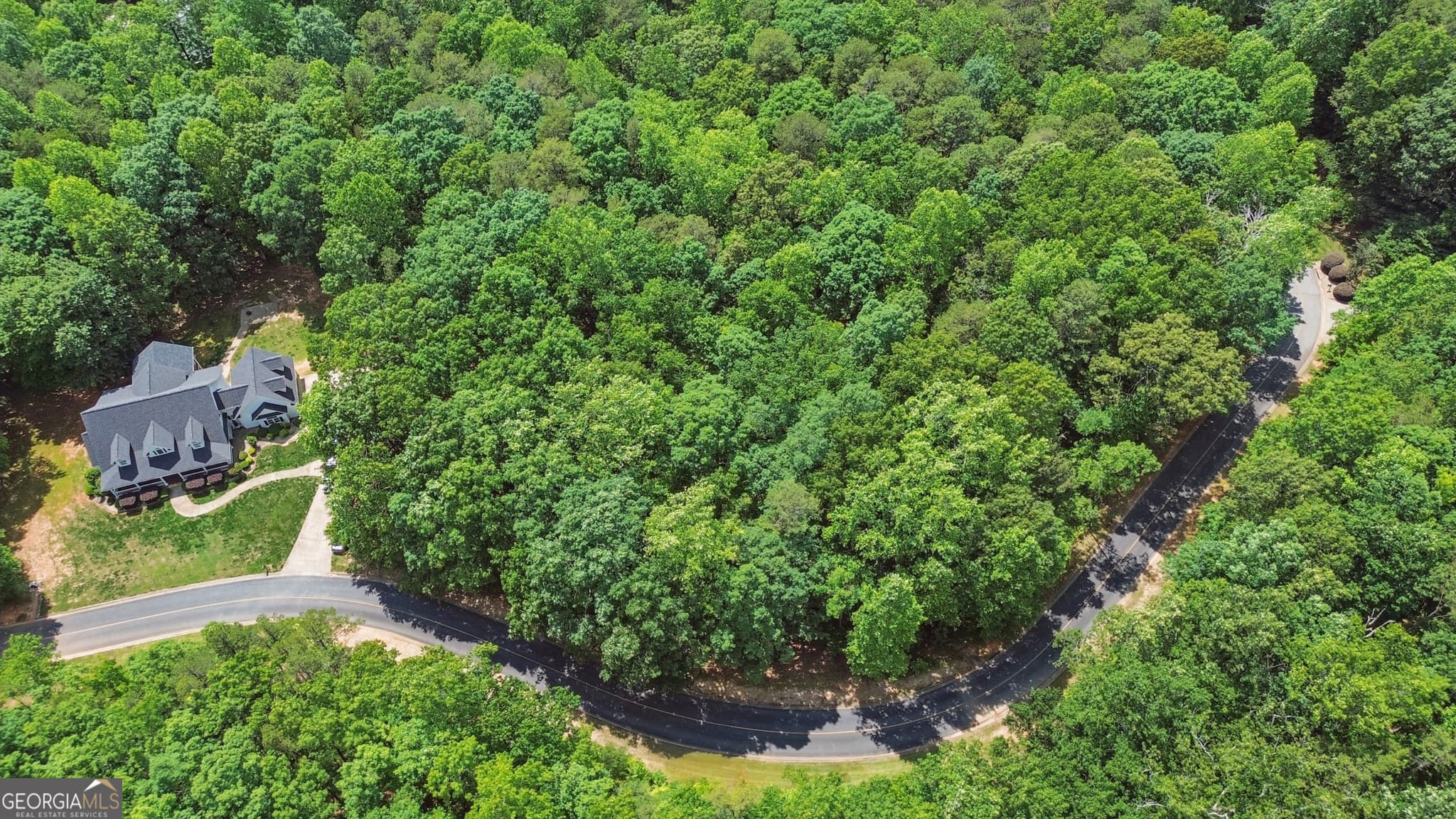 residential lot for sale at 0 Plum Lane LT 53, Clarkesville, GA 30523 — photo 6