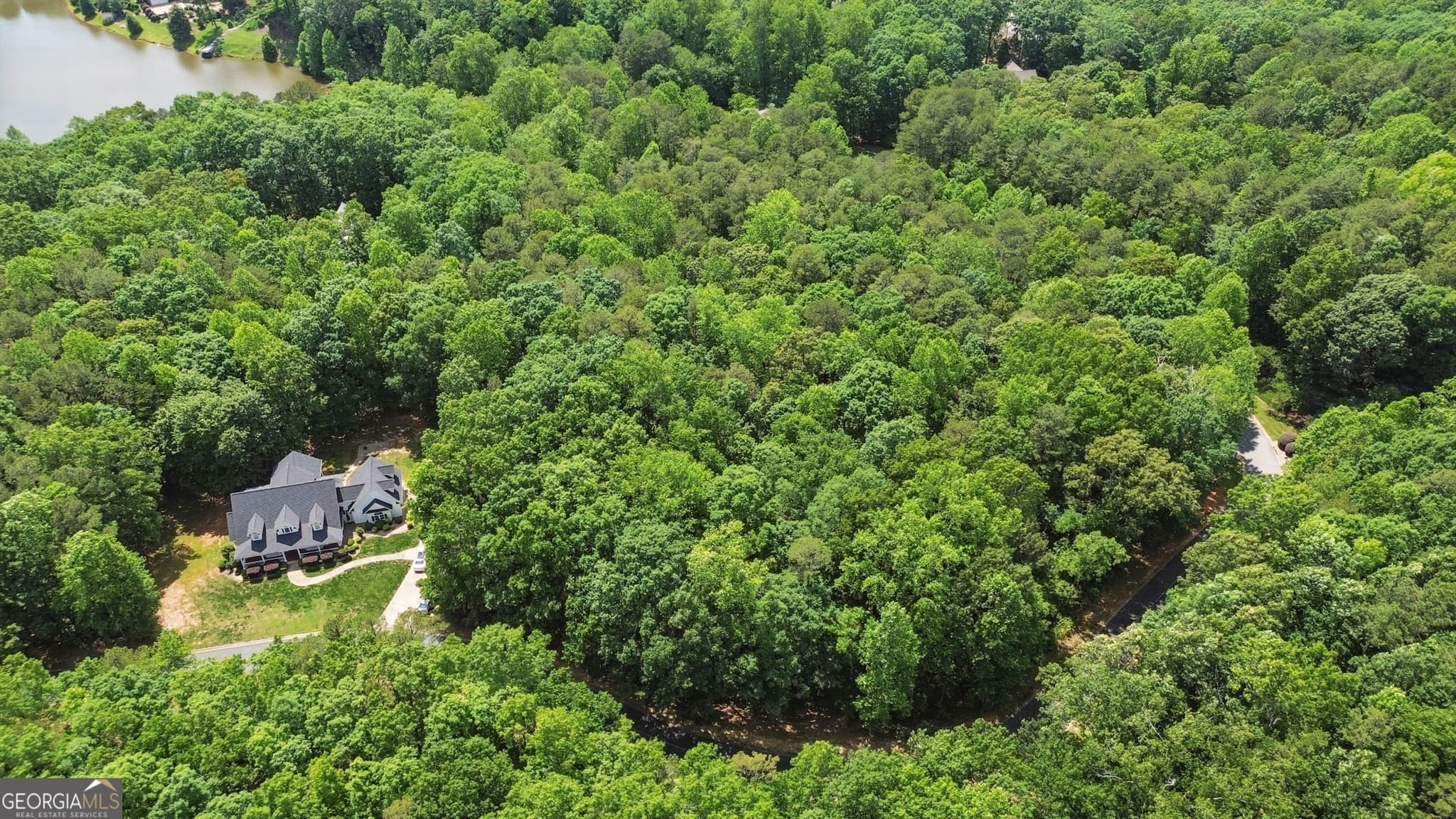 residential lot for sale at 0 Plum Lane LT 53, Clarkesville, GA 30523 — photo 7