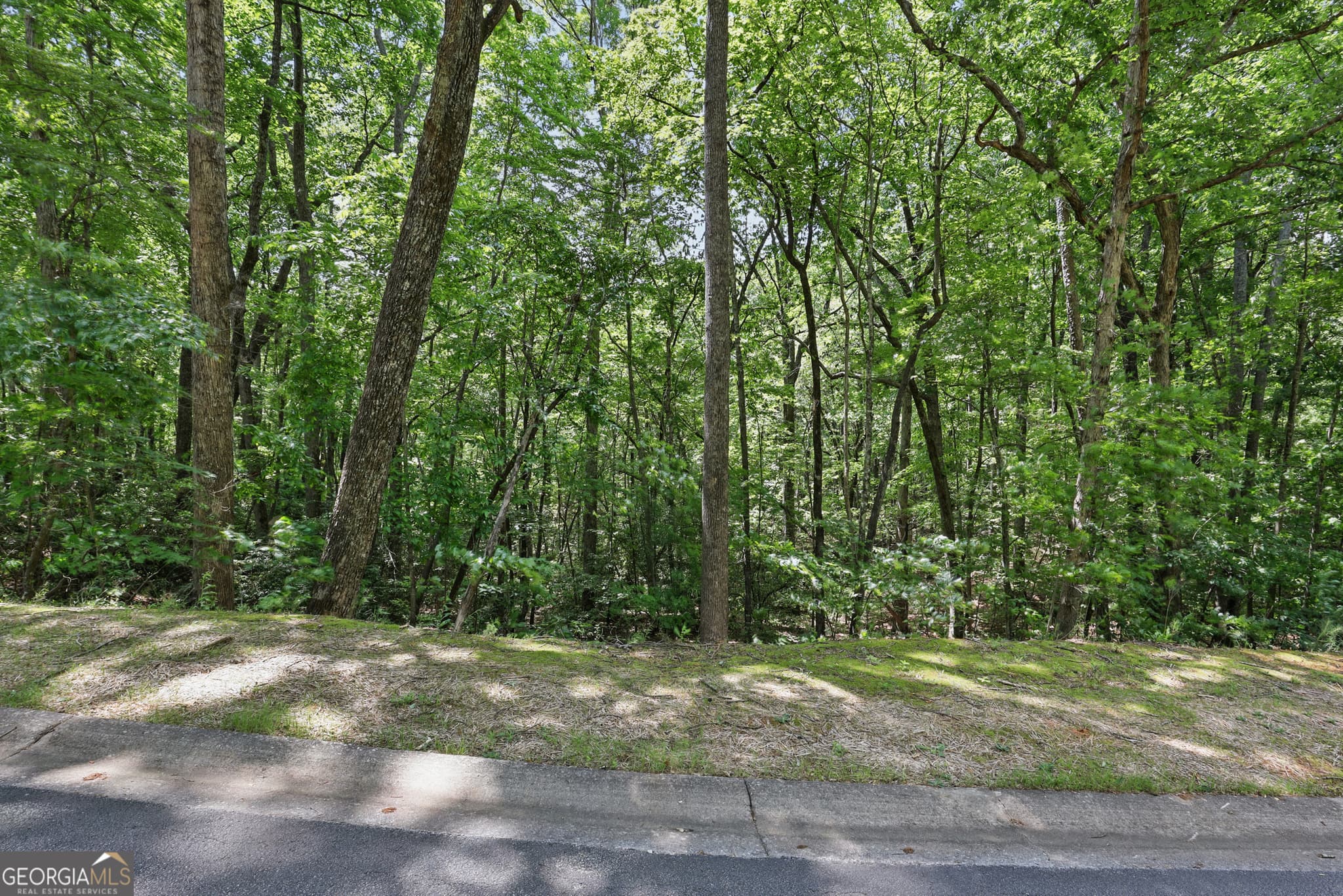 residential lot for sale at 0 Plum Lane LT 53, Clarkesville, GA 30523 — photo 3