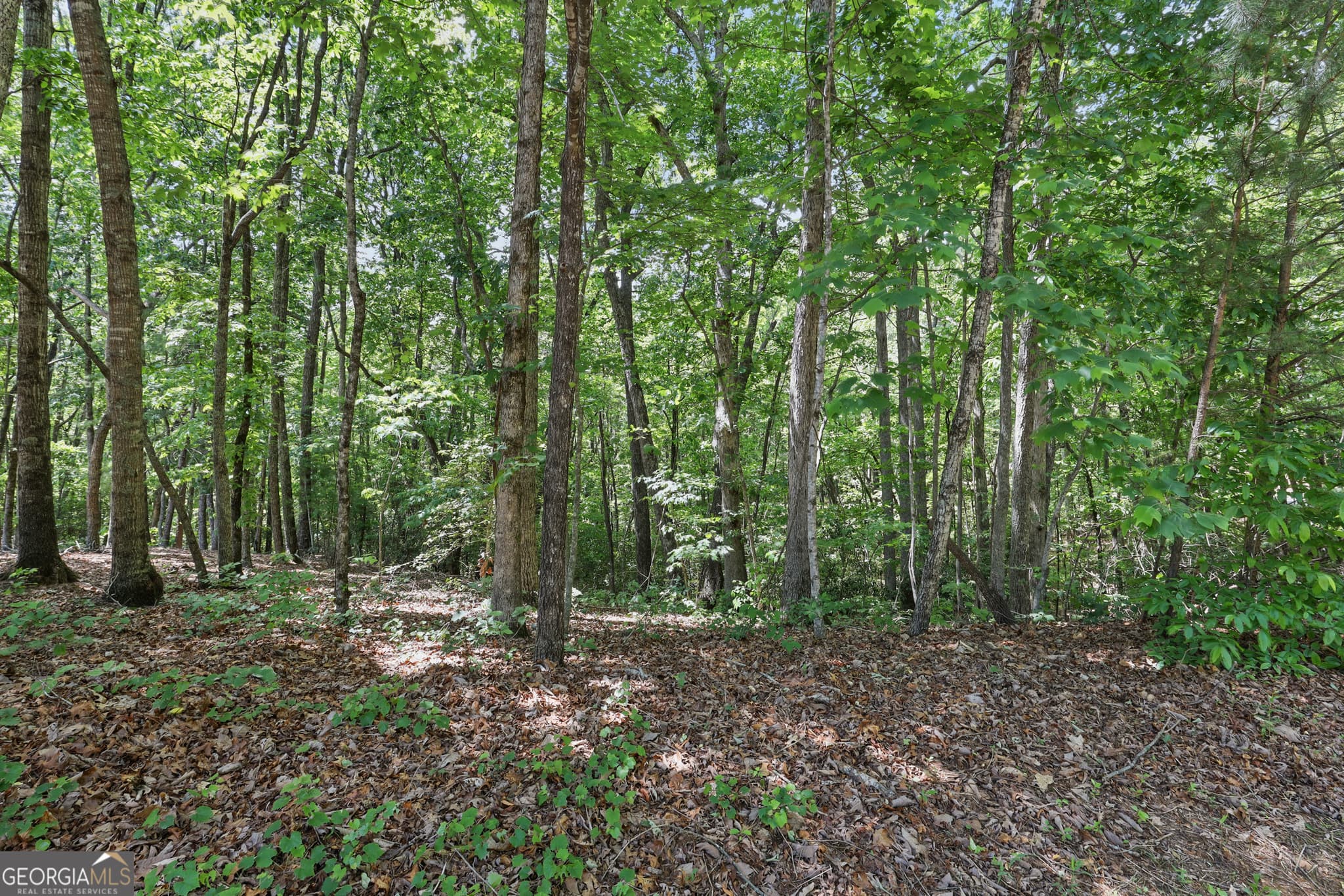 residential lot for sale at 0 Plum Lane LT 53, Clarkesville, GA 30523 — photo 5
