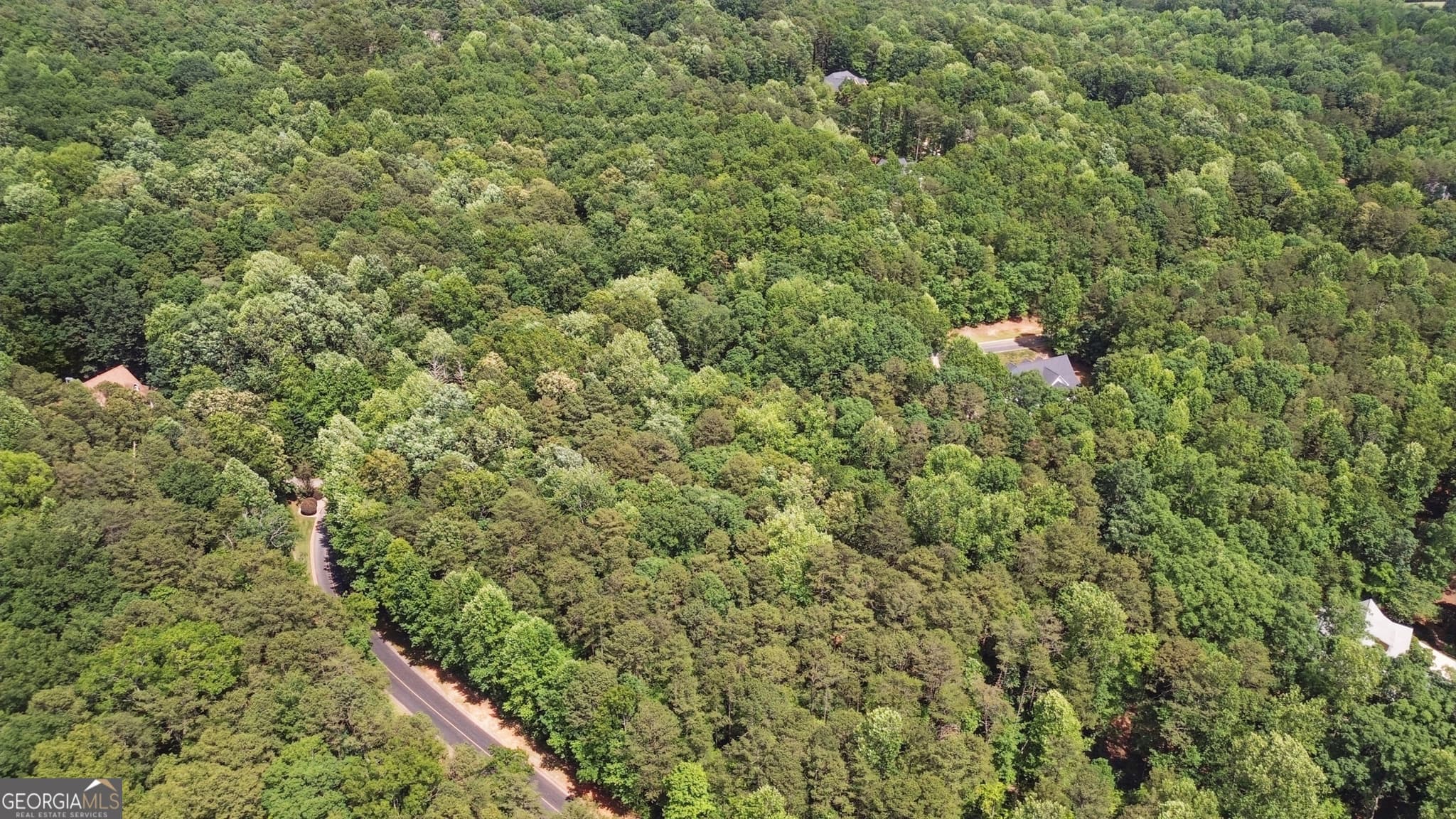 residential lot for sale at 0 Plum Lane LT 53, Clarkesville, GA 30523 — photo 9