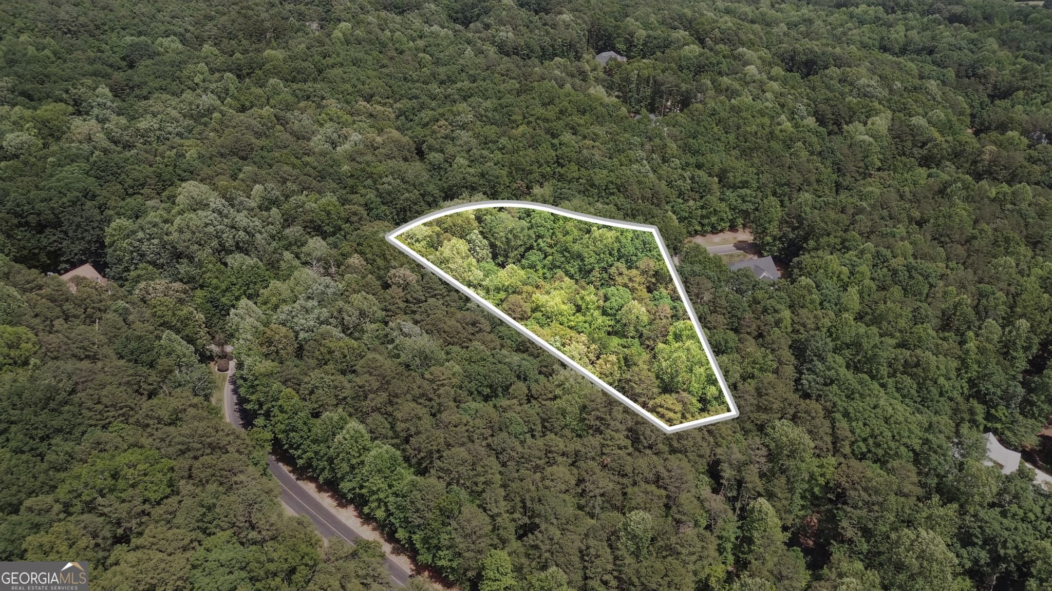 residential lot for sale at 0 Plum Lane LT 53, Clarkesville, GA 30523 — photo 10