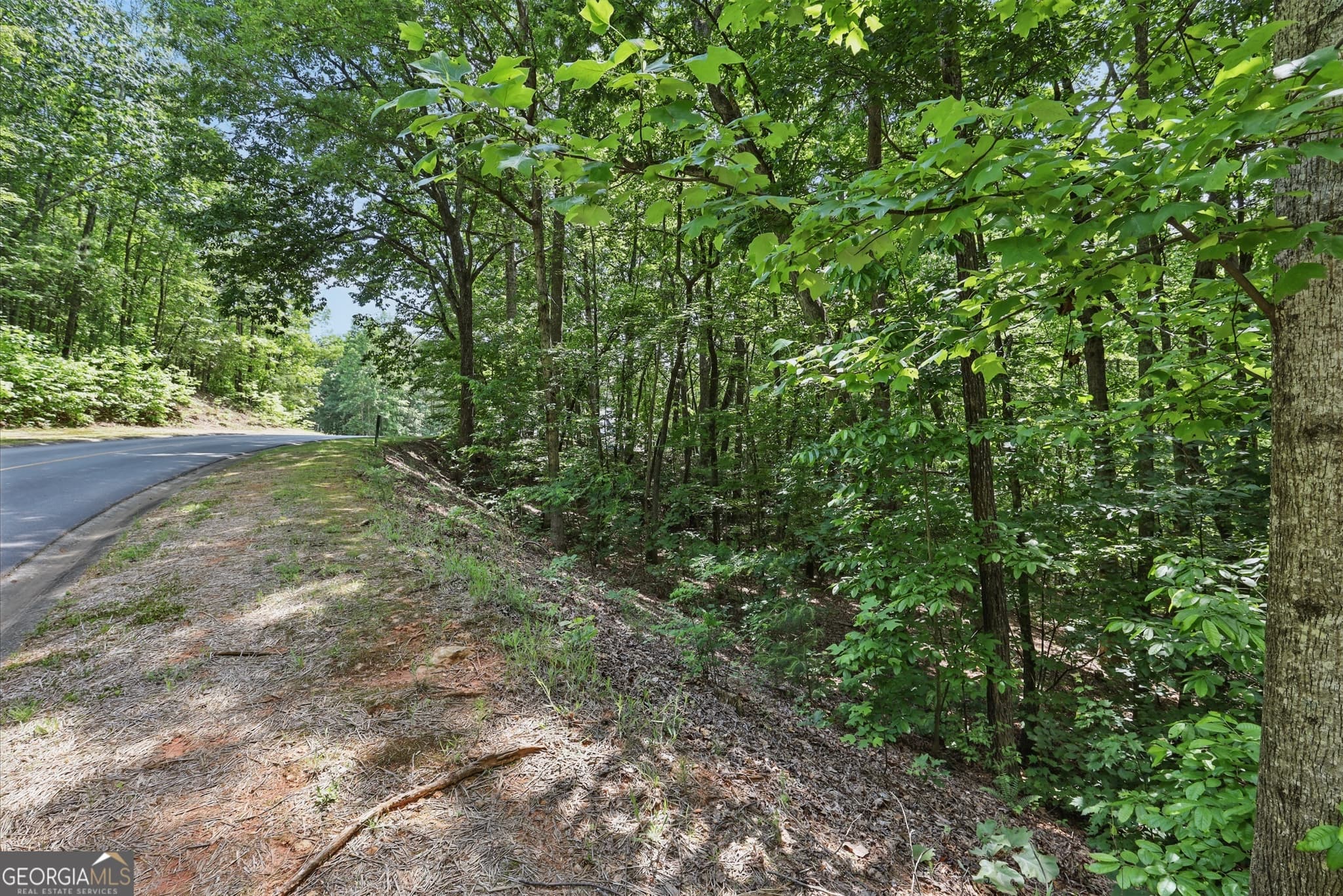 residential lot for sale at 0 Plum Lane LT 53, Clarkesville, GA 30523 — photo 4