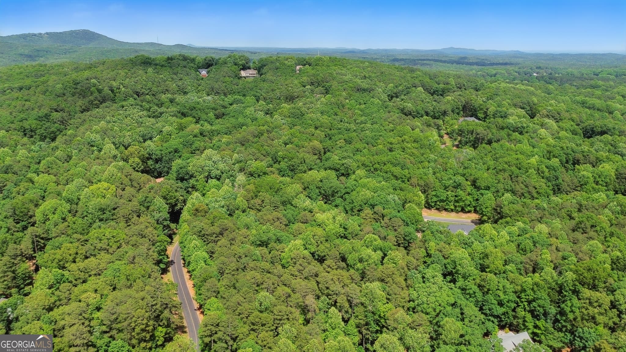 residential lot for sale at 0 Plum Lane LT 53, Clarkesville, GA 30523 — photo 8