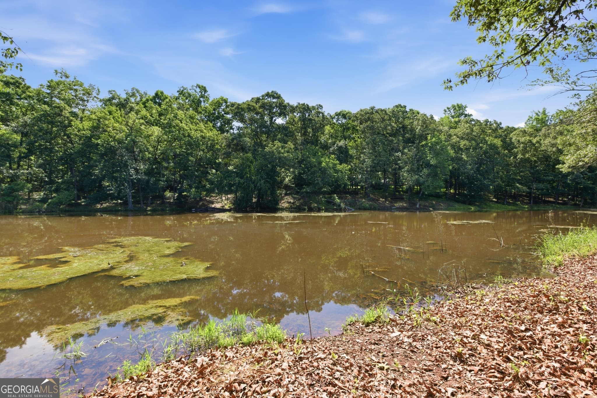3 bedroom, 2 bathroom, 1,538 sq ft single family residence for sale at 171 Winding Way, Hartwell, GA 30643 — photo 5