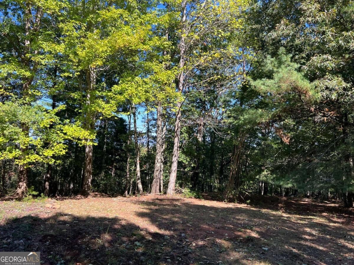 2 bedroom, 2 bathroom, 1,232 sq ft cabin,single family residence for sale at 395 Skylark Way, Jasper, GA 30143 — photo 10