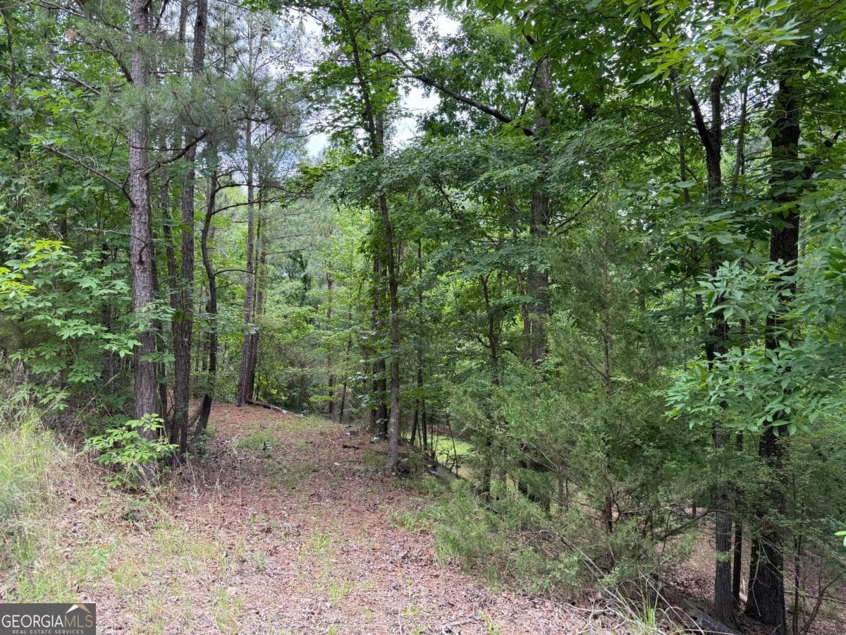 residential lot for sale at 0 Bramlett Circle, Elberton, GA 30635 — photo 2
