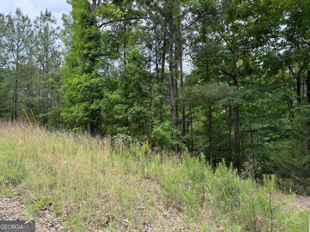 residential lot for sale at 0 Bramlett Circle, Elberton, GA 30635 — photo 6
