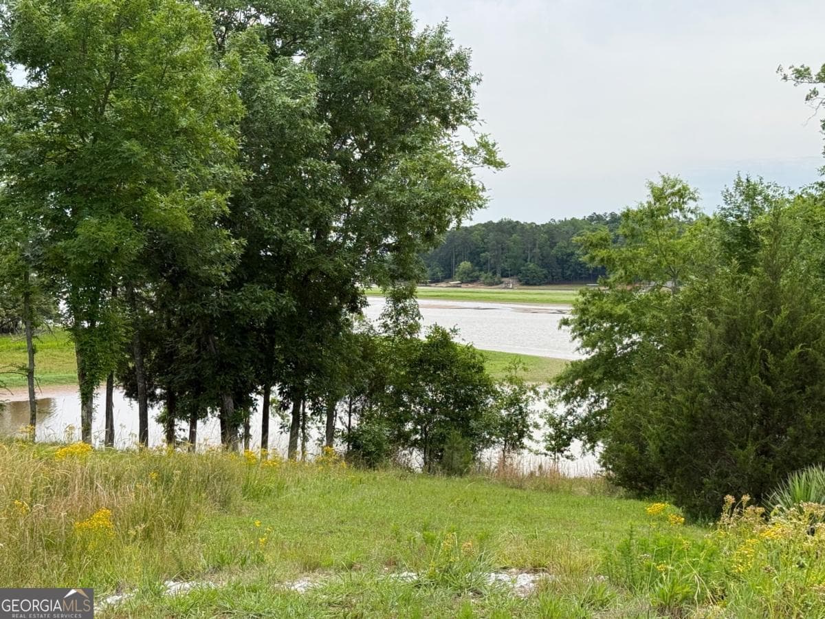 residential lot for sale at 0 Bramlett Circle, Elberton, GA 30635 — photo 7