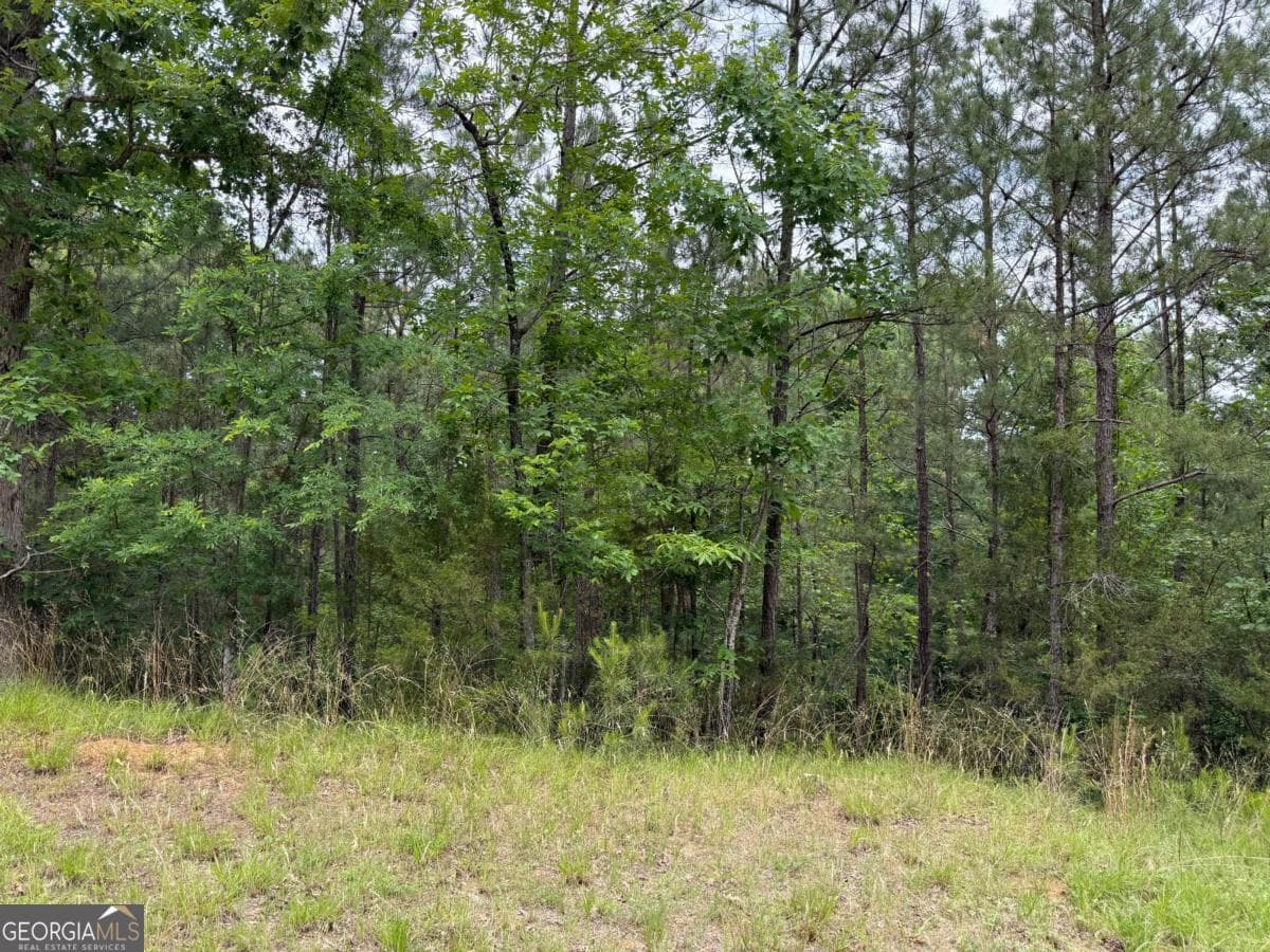 residential lot for sale at 0 Bramlett Circle, Elberton, GA 30635 — photo 3