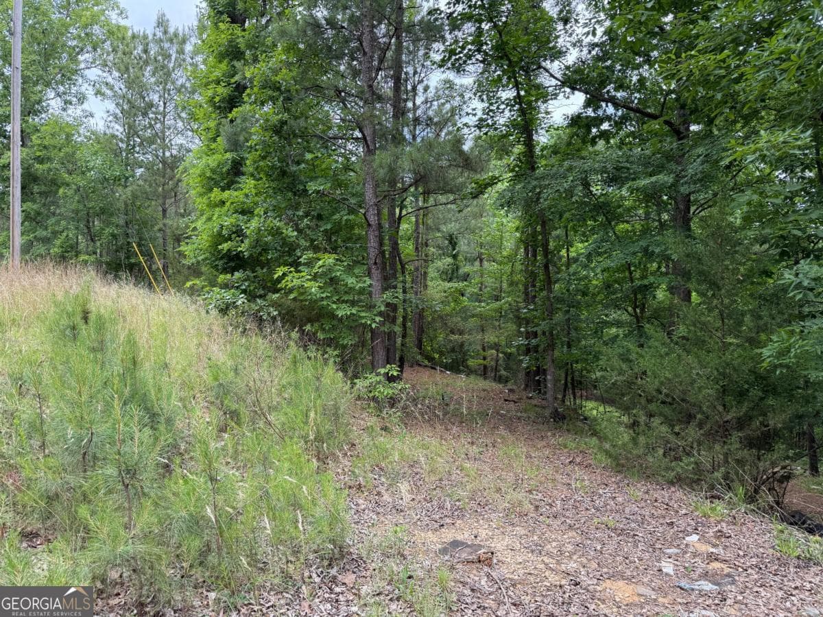 residential lot for sale at 0 Bramlett Circle, Elberton, GA 30635 — photo 5