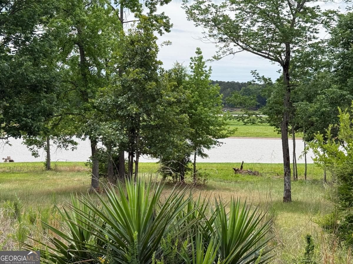 residential lot for sale at 0 Bramlett Circle, Elberton, GA 30635 — photo 9