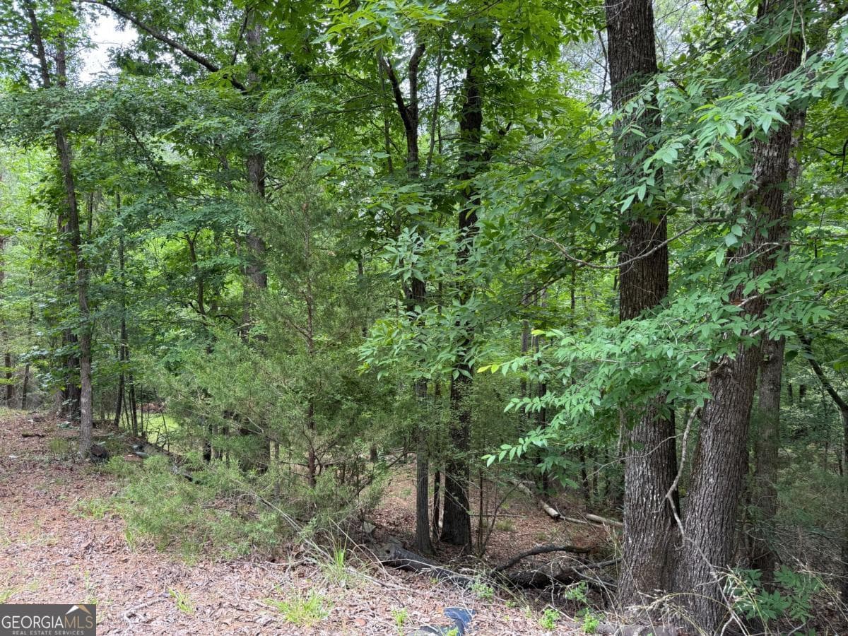 residential lot for sale at 0 Bramlett Circle, Elberton, GA 30635 — photo 4