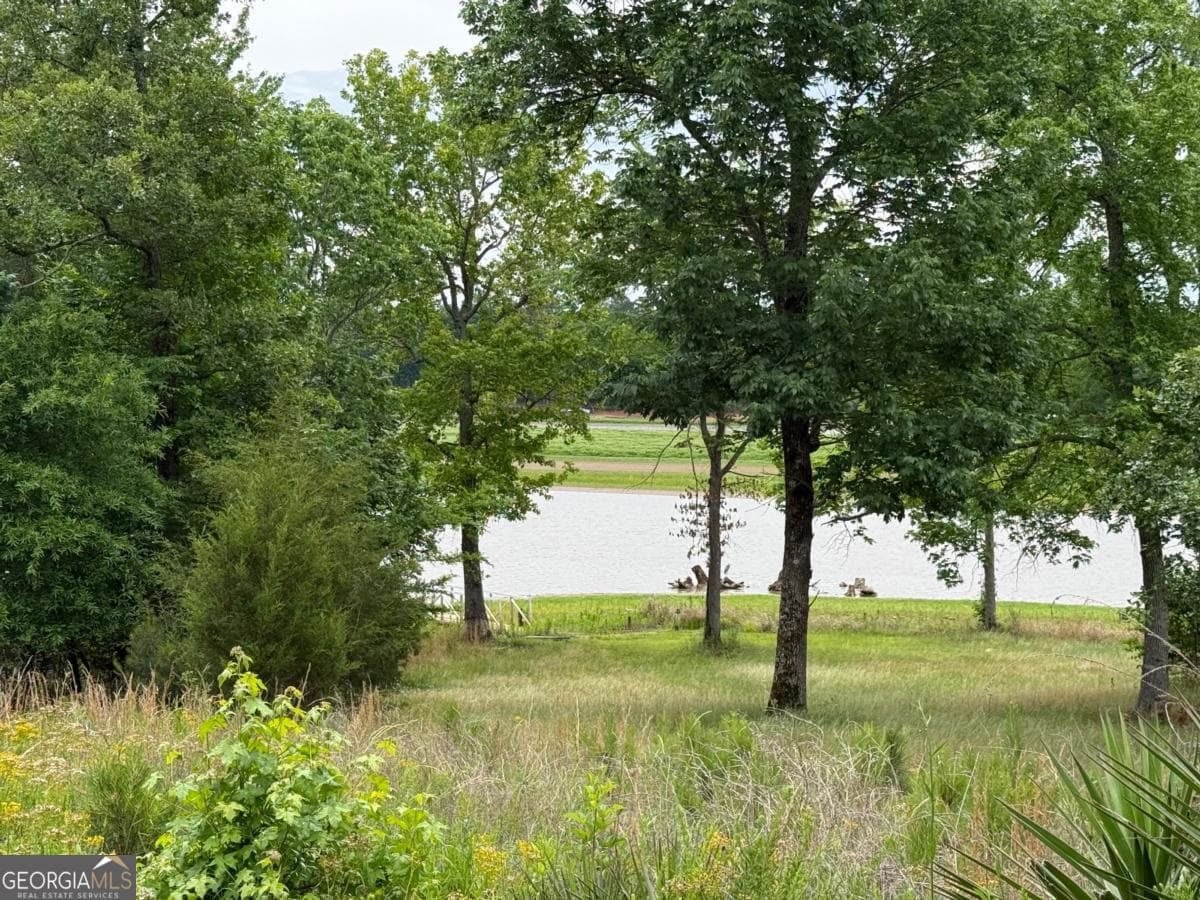residential lot for sale at 0 Bramlett Circle, Elberton, GA 30635 — photo 8