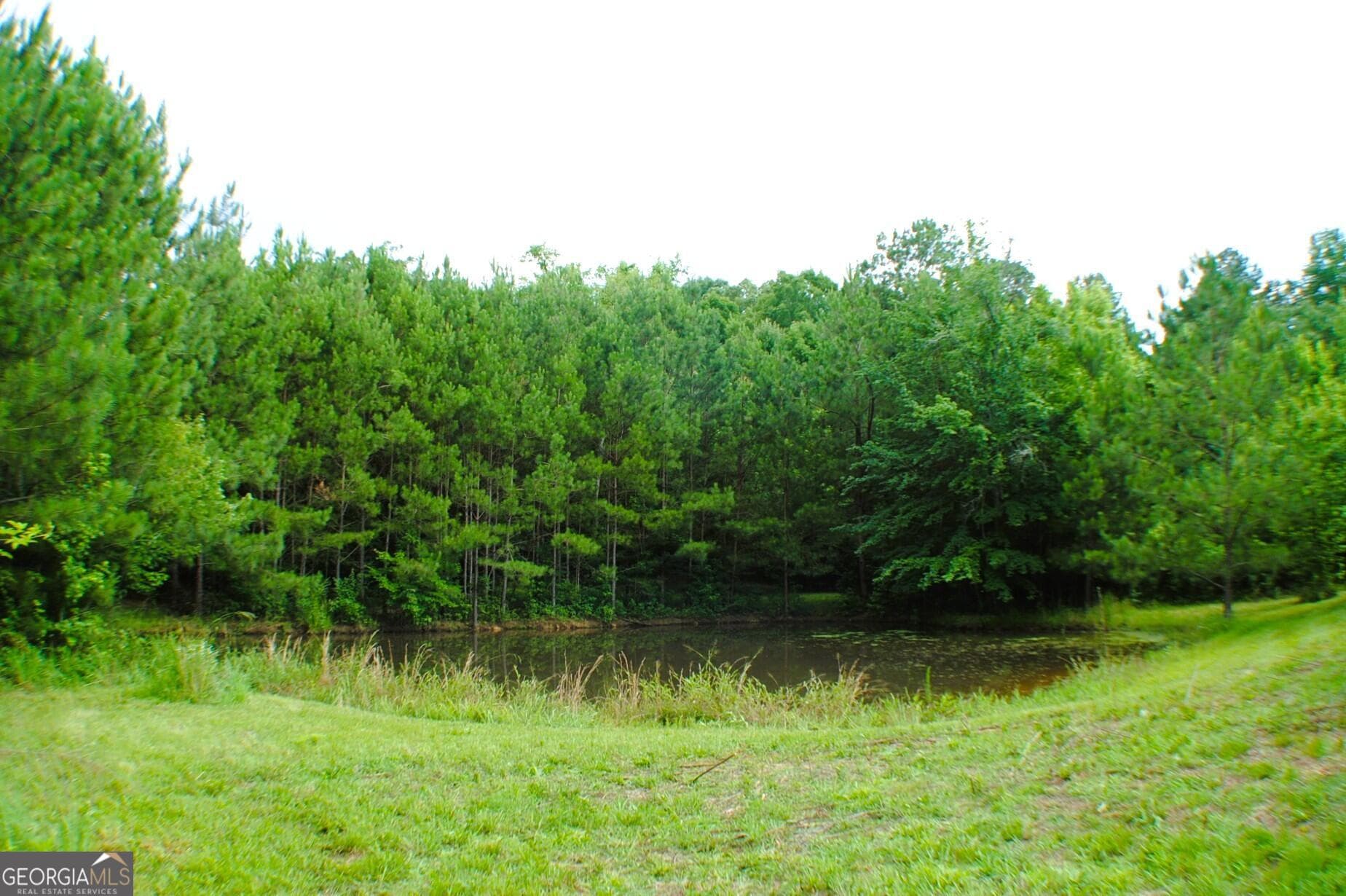 3 bedroom, 1 bathroom, 976 sq ft single family residence for sale at 3602 Highway 41, Resaca, GA 30735 — photo 3