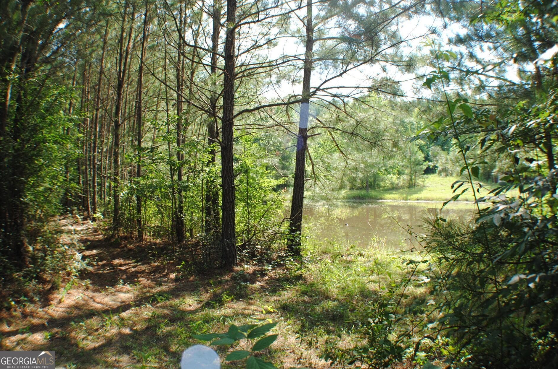 3 bedroom, 1 bathroom, 976 sq ft single family residence for sale at 3602 Highway 41, Resaca, GA 30735 — photo 4