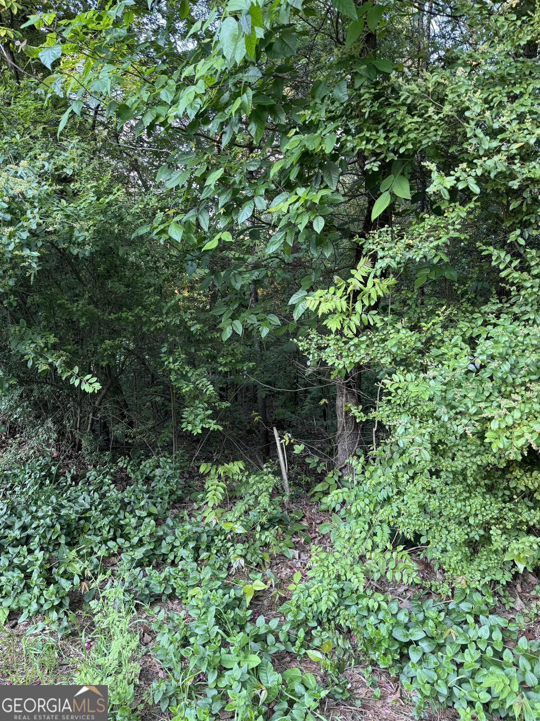 residential lot for sale at 0 Wellington Way, Rome, GA 30161 — photo 2