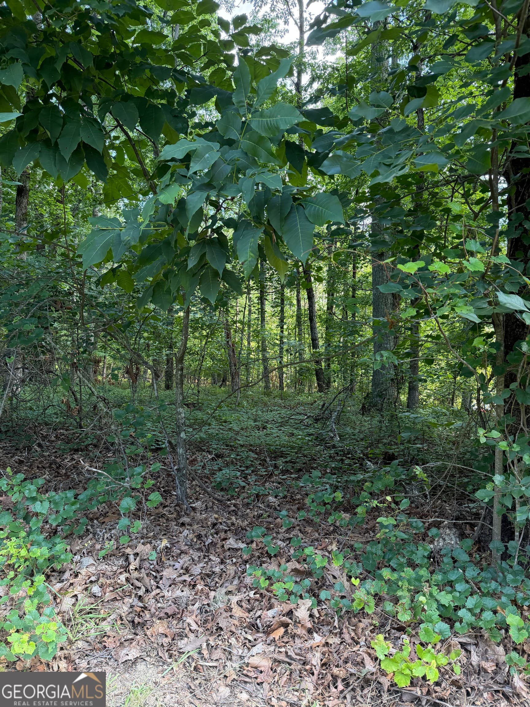 residential lot for sale at 3355 Lakeview Parkway, Villa Rica, GA 30180 — photo 2