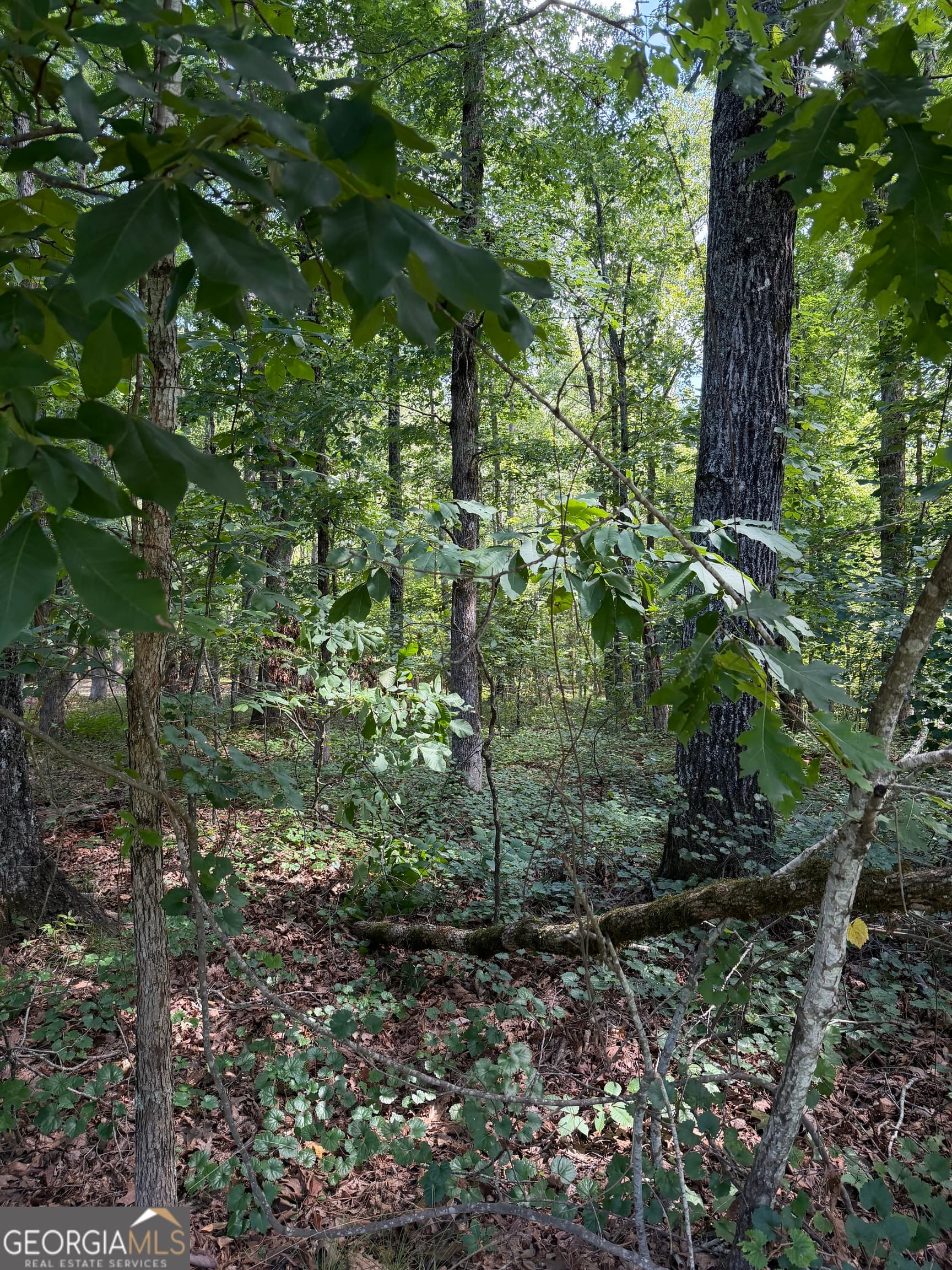 residential lot for sale at 3355 Lakeview Parkway, Villa Rica, GA 30180 — photo 3