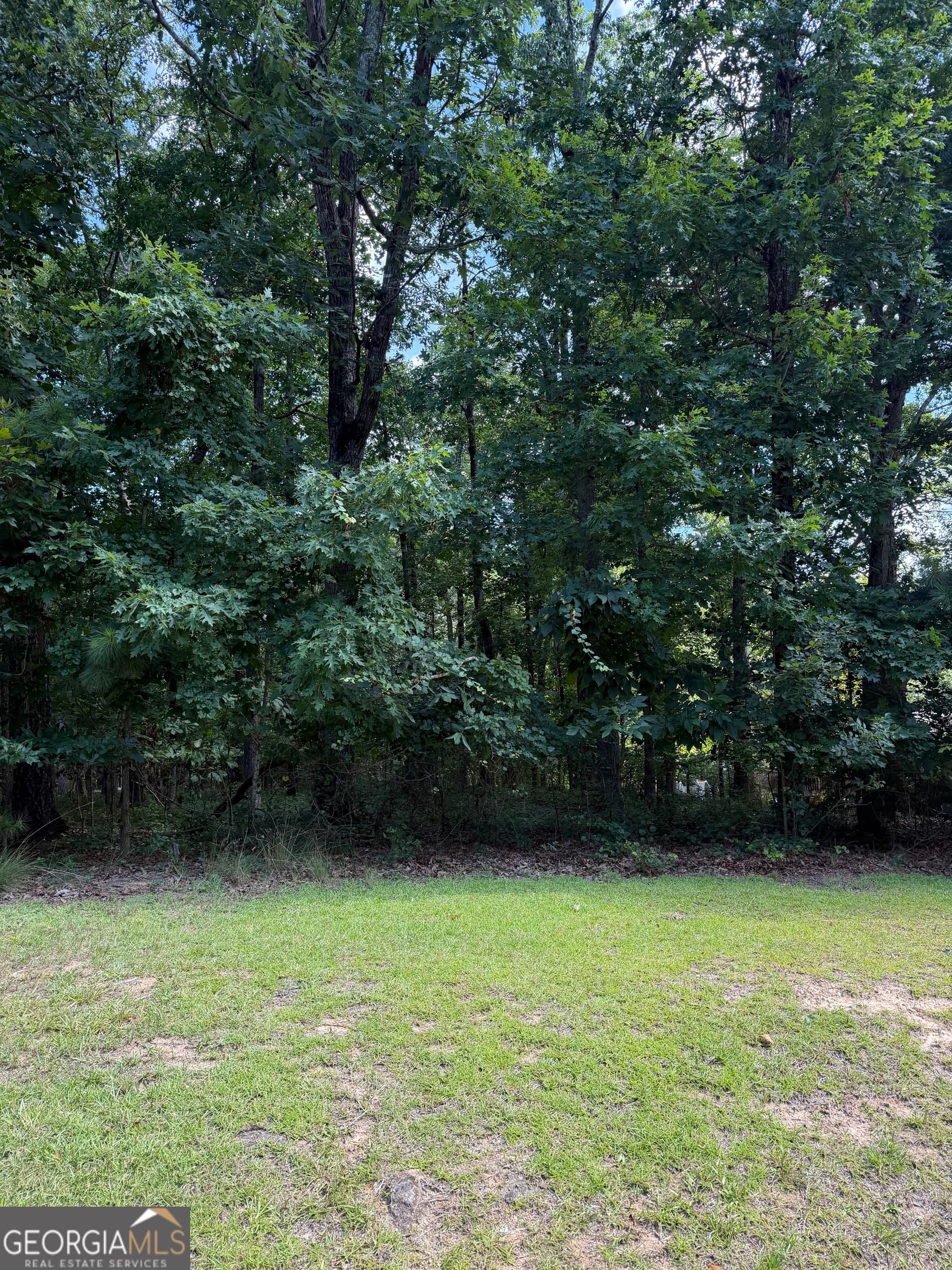 residential lot for sale at 3355 Lakeview Parkway, Villa Rica, GA 30180 — photo 1 of 6