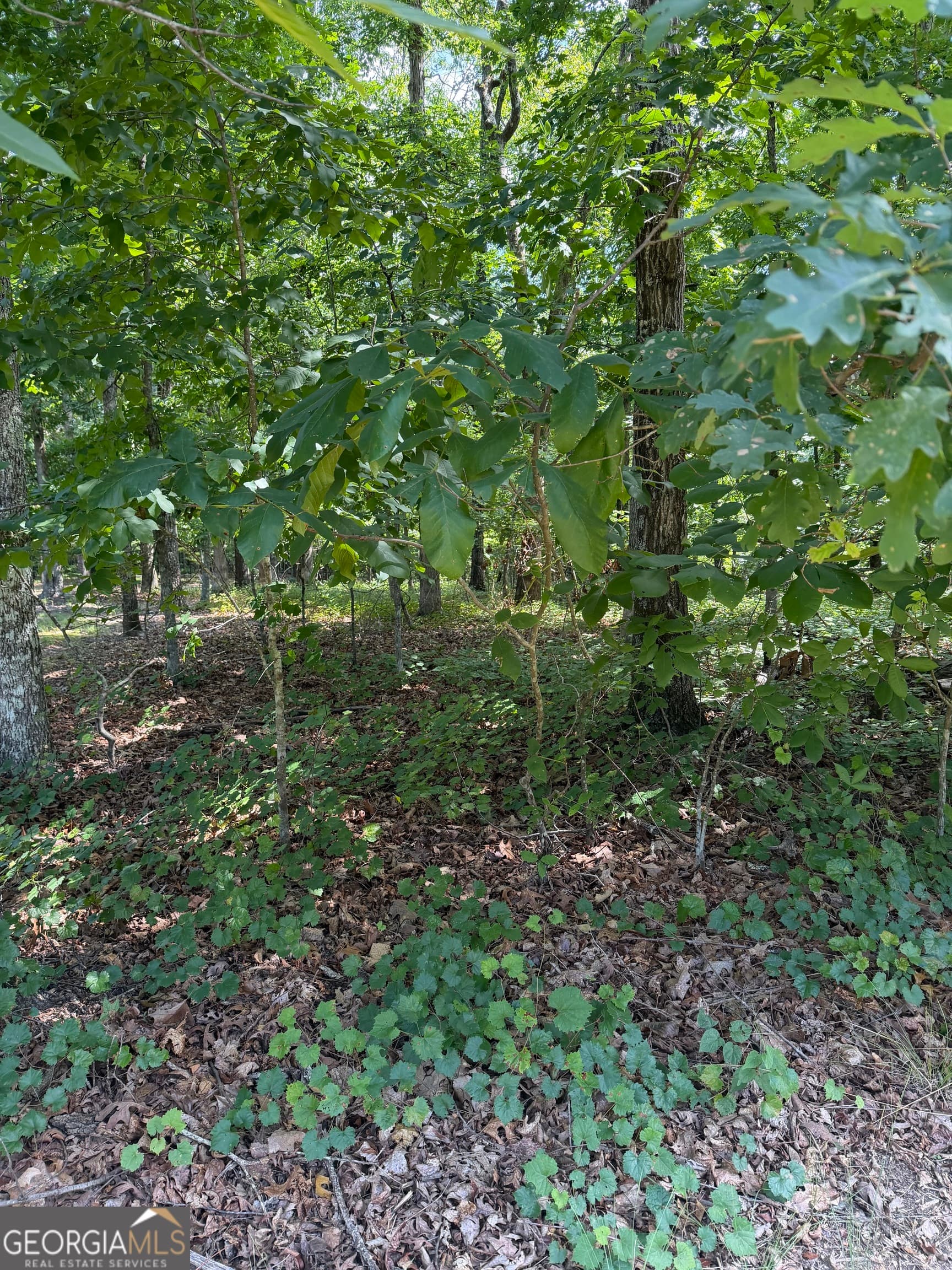 residential lot for sale at 3355 Lakeview Parkway, Villa Rica, GA 30180 — photo 4