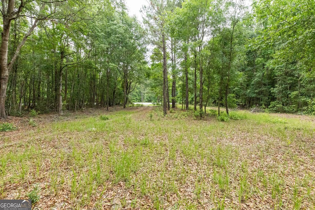 695 Log Landing Road, Springfield, GA 31329 — most recent listing photo