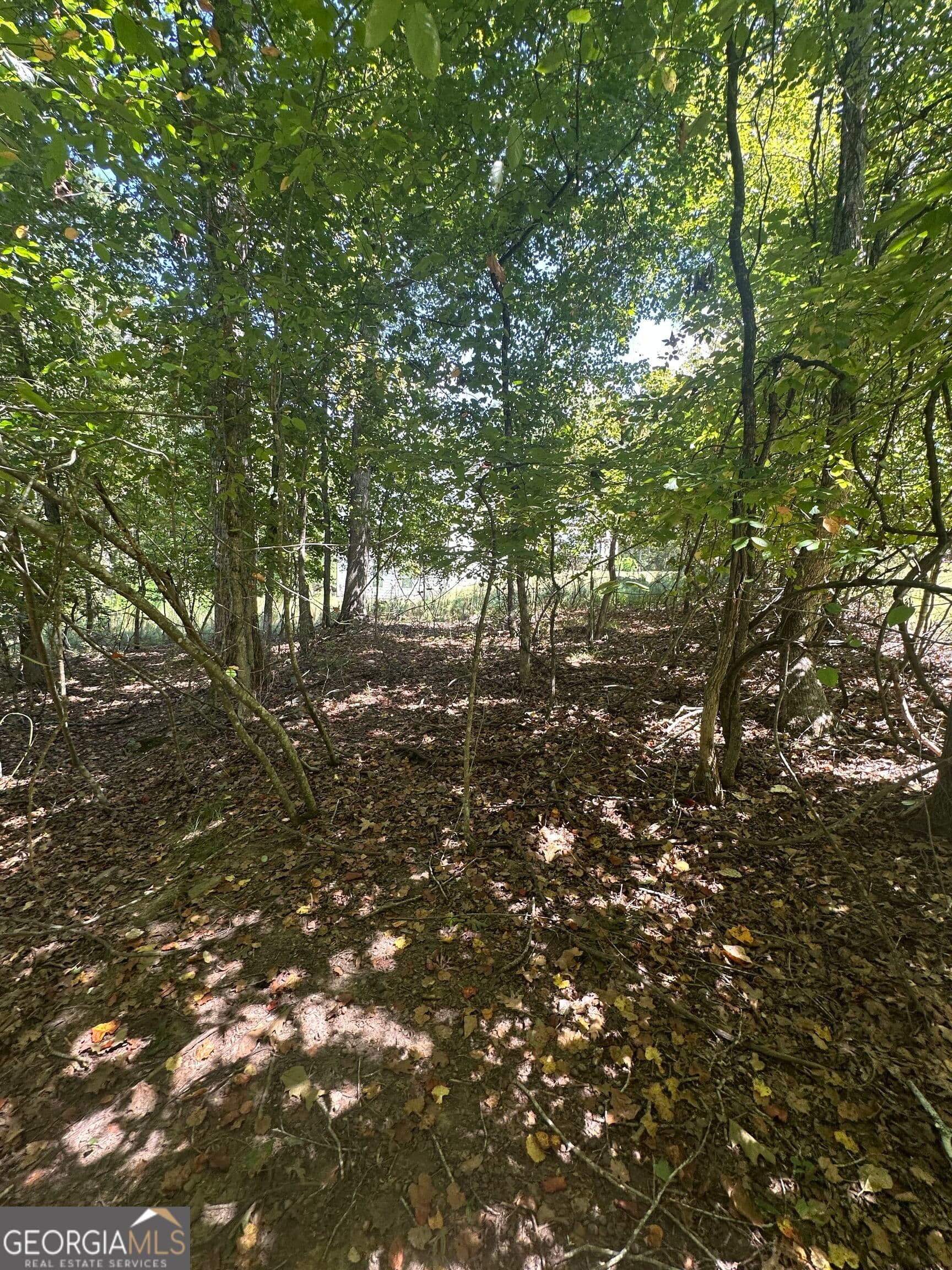 residential lot for sale at 3338 Lakeview Parkway, Villa Rica, GA 30180 — photo 9