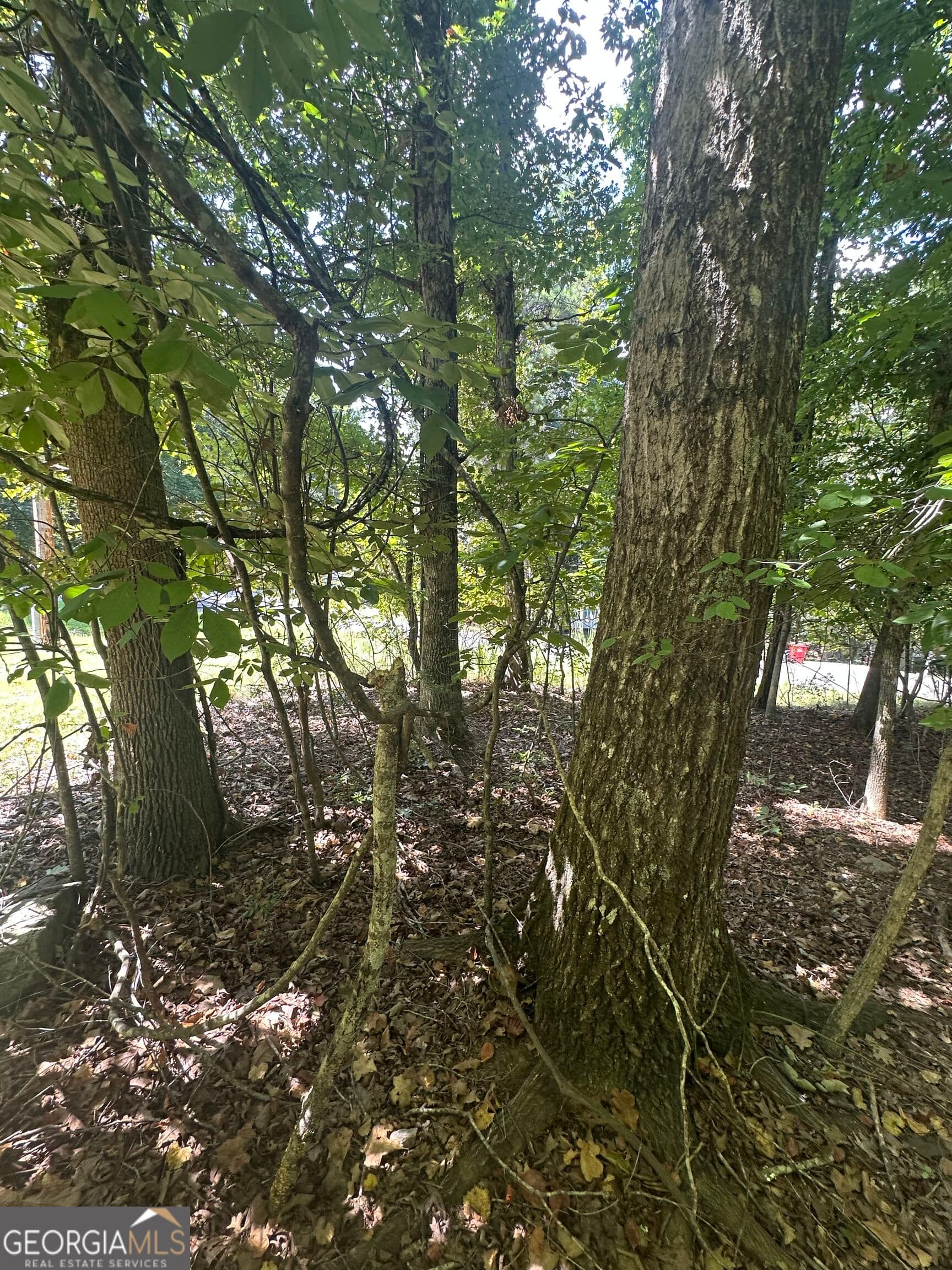 residential lot for sale at 3338 Lakeview Parkway, Villa Rica, GA 30180 — photo 10