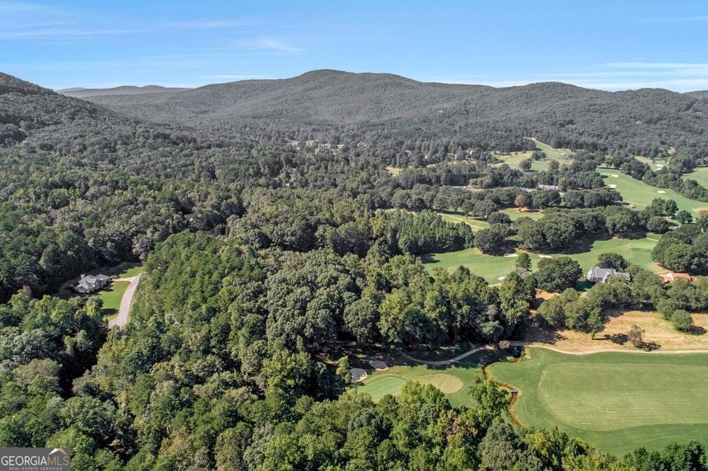 residential lot for sale at 0 Imperial Court LOT 813, Clarkesville, GA 30523 — photo 4