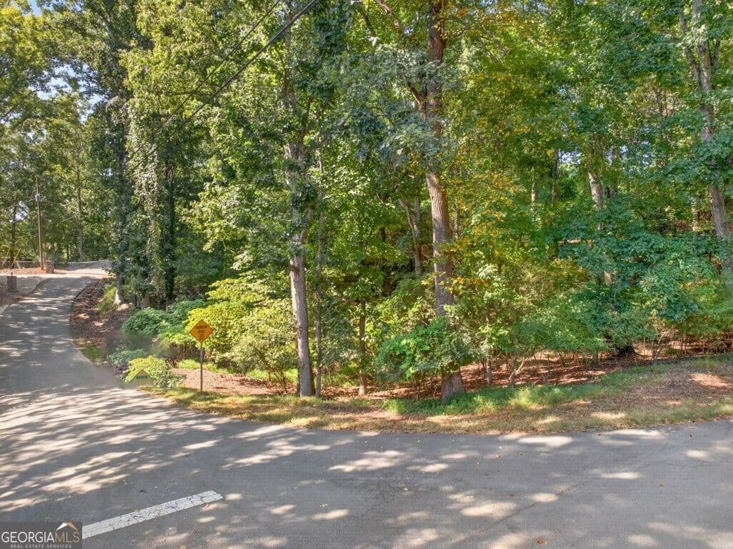 unimproved land for sale at 3550 Lodgehaven Drive, Gainesville, GA 30506 — photo 3
