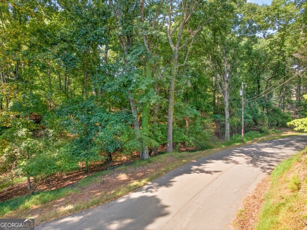 unimproved land for sale at 3550 Lodgehaven Drive, Gainesville, GA 30506 — photo 5
