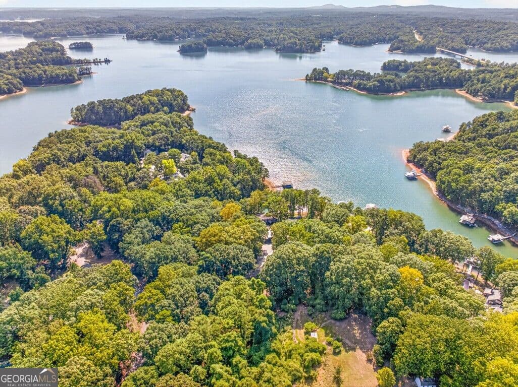 unimproved land for sale at 3550 Lodgehaven Drive, Gainesville, GA 30506 — photo 9