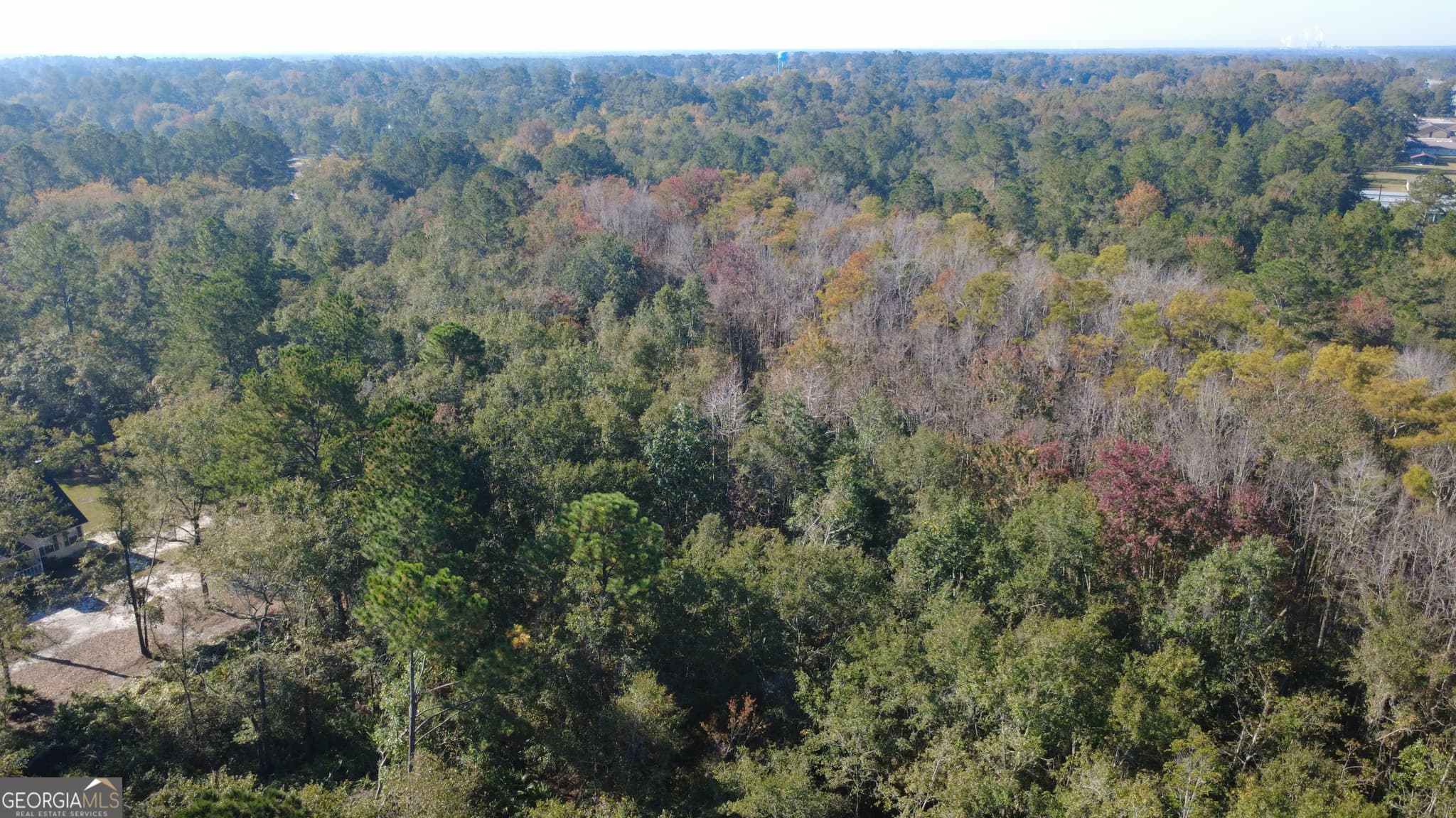 commercial for sale at 0 E Cypress Street, Ludowici, GA 31316 — photo 7