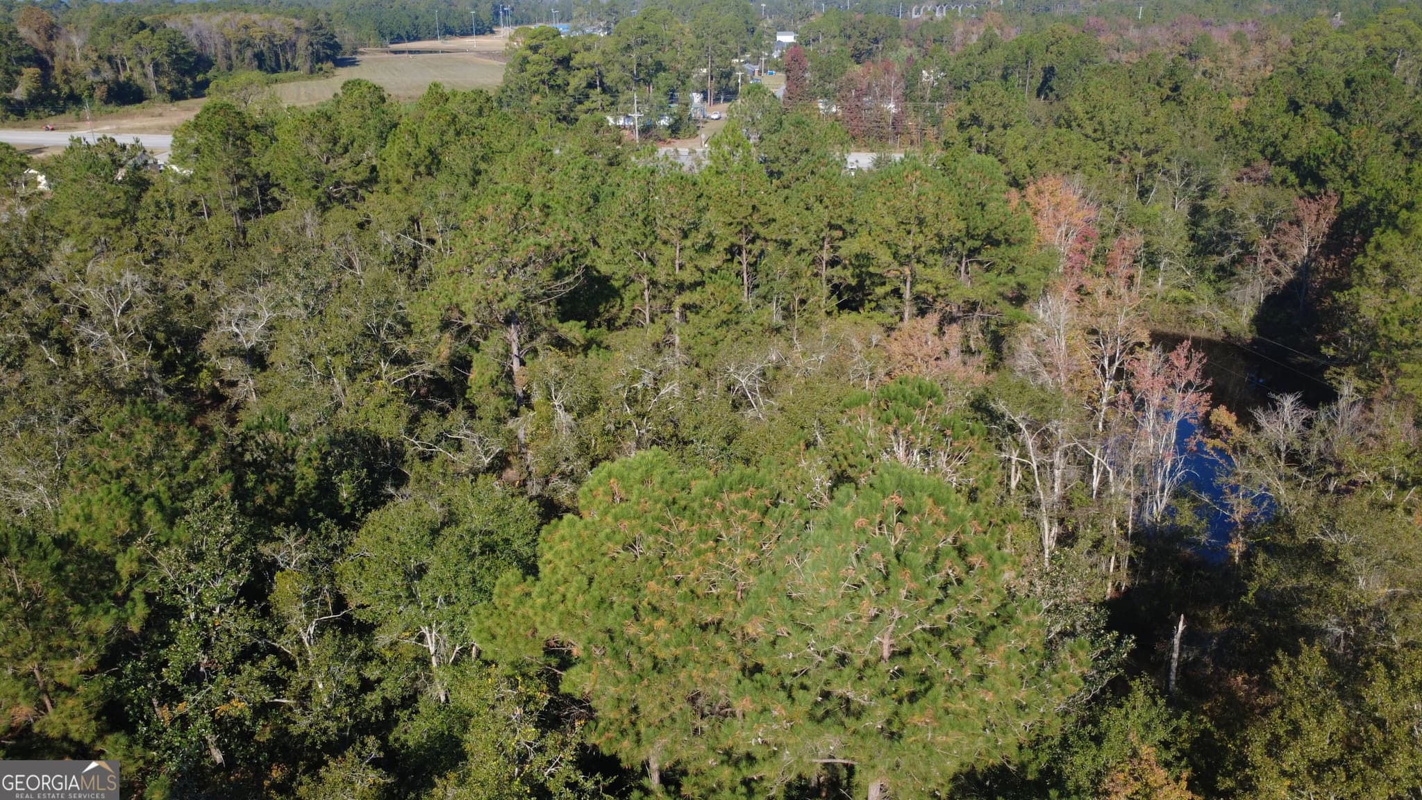 commercial for sale at 0 E Cypress Street, Ludowici, GA 31316 — photo 9