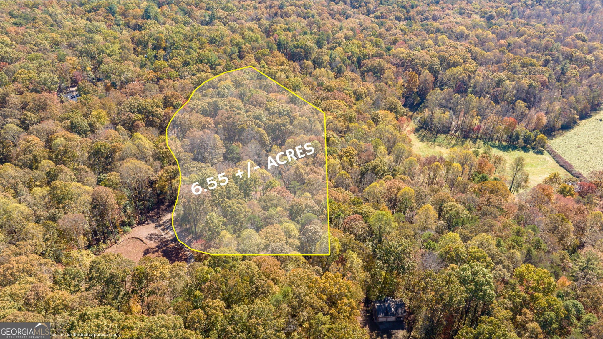 3 bedroom, 3 bathroom, 3,585 sq ft single family residence for sale at 1010 Meadowview Ridge, Clarkesville, GA 30523 — photo 3
