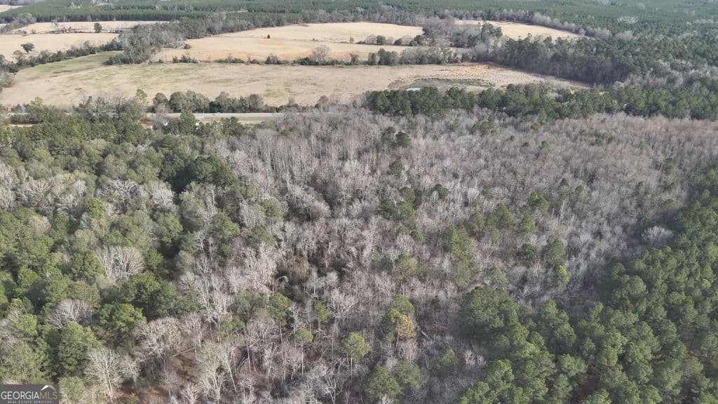 residential lot for sale at 8 Country Club Road LOT 8, Sylvania, GA 30467 — photo 5