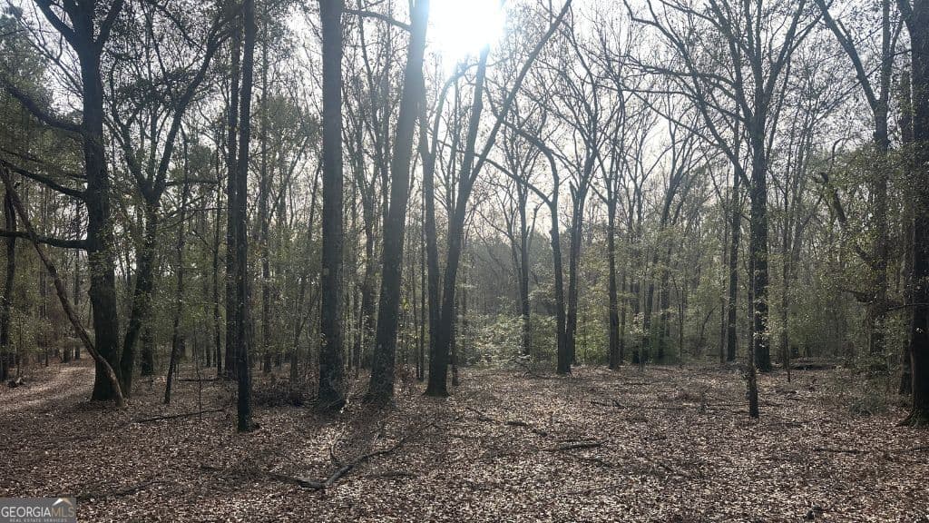 residential lot for sale at 8 Country Club Road LOT 8, Sylvania, GA 30467 — photo 9