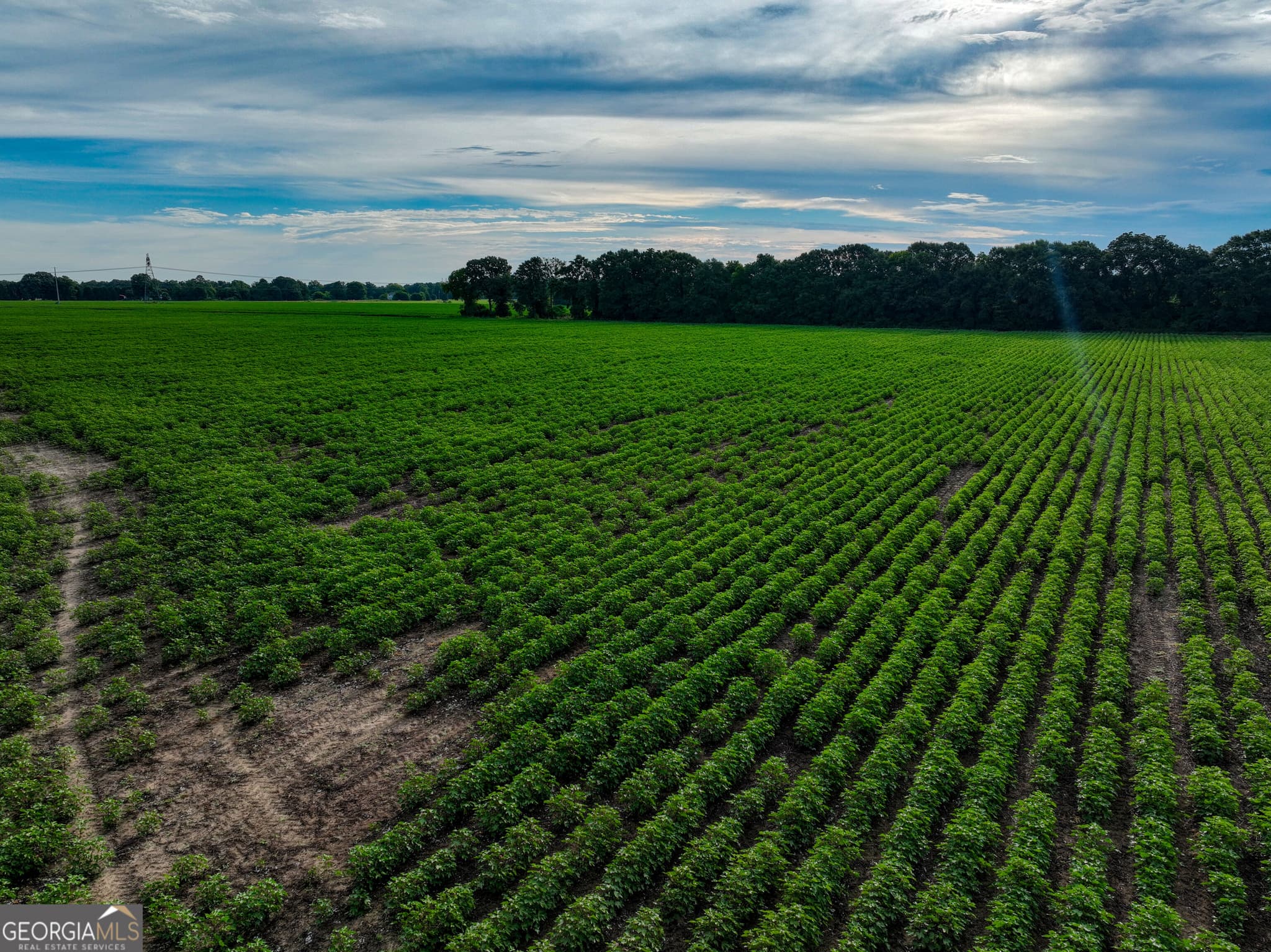 agriculture for sale at 0 Highway 42, Byron, GA 31008 — photo 6