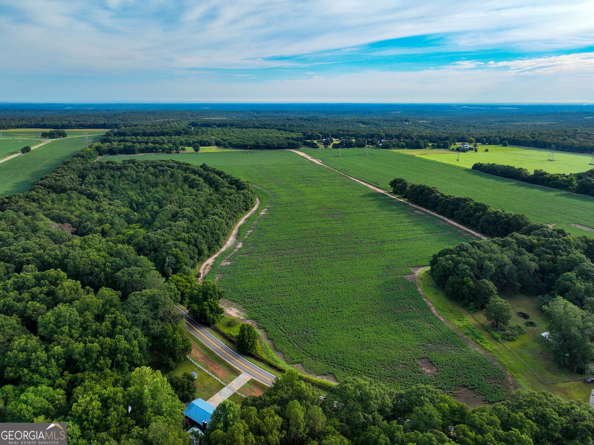 agriculture for sale at 0 Highway 42, Byron, GA 31008 — photo 7