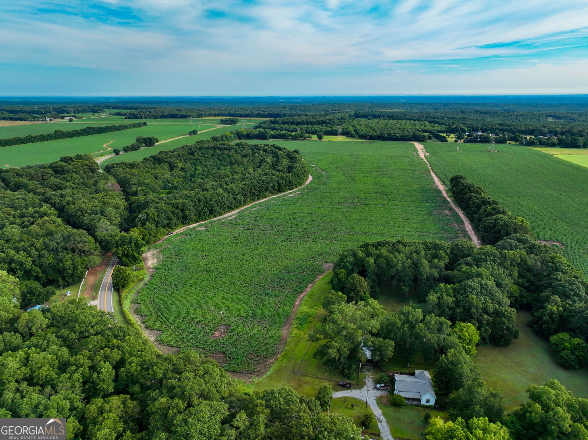 agriculture for sale at 0 Highway 42, Byron, GA 31008 — photo 5