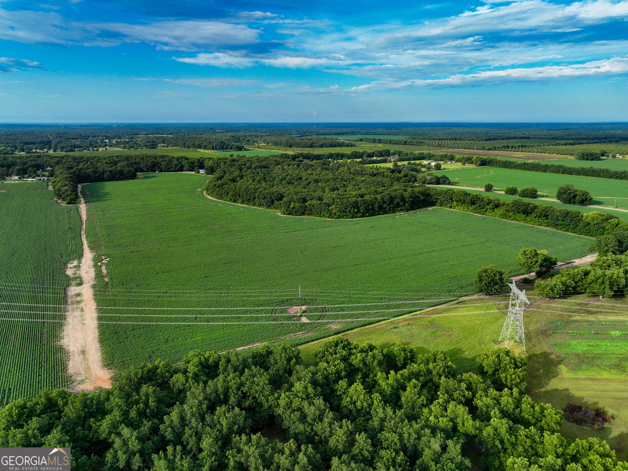 agriculture for sale at 0 Highway 42, Byron, GA 31008 — photo 9
