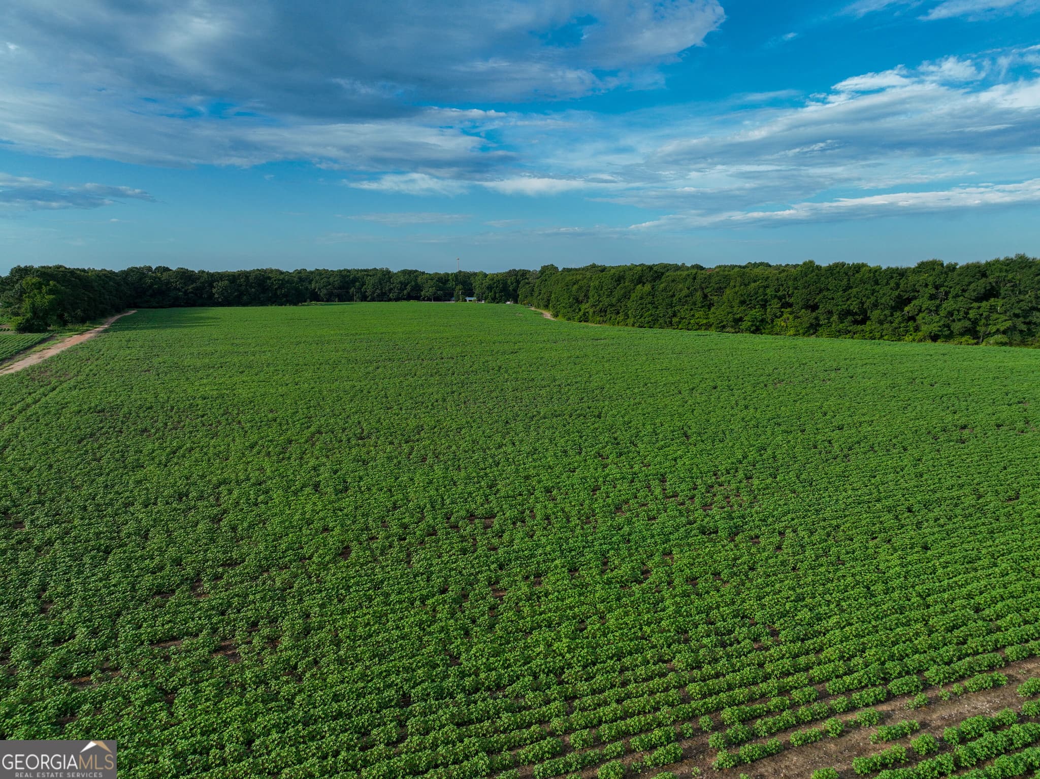 agriculture for sale at 0 Highway 42, Byron, GA 31008 — photo 10