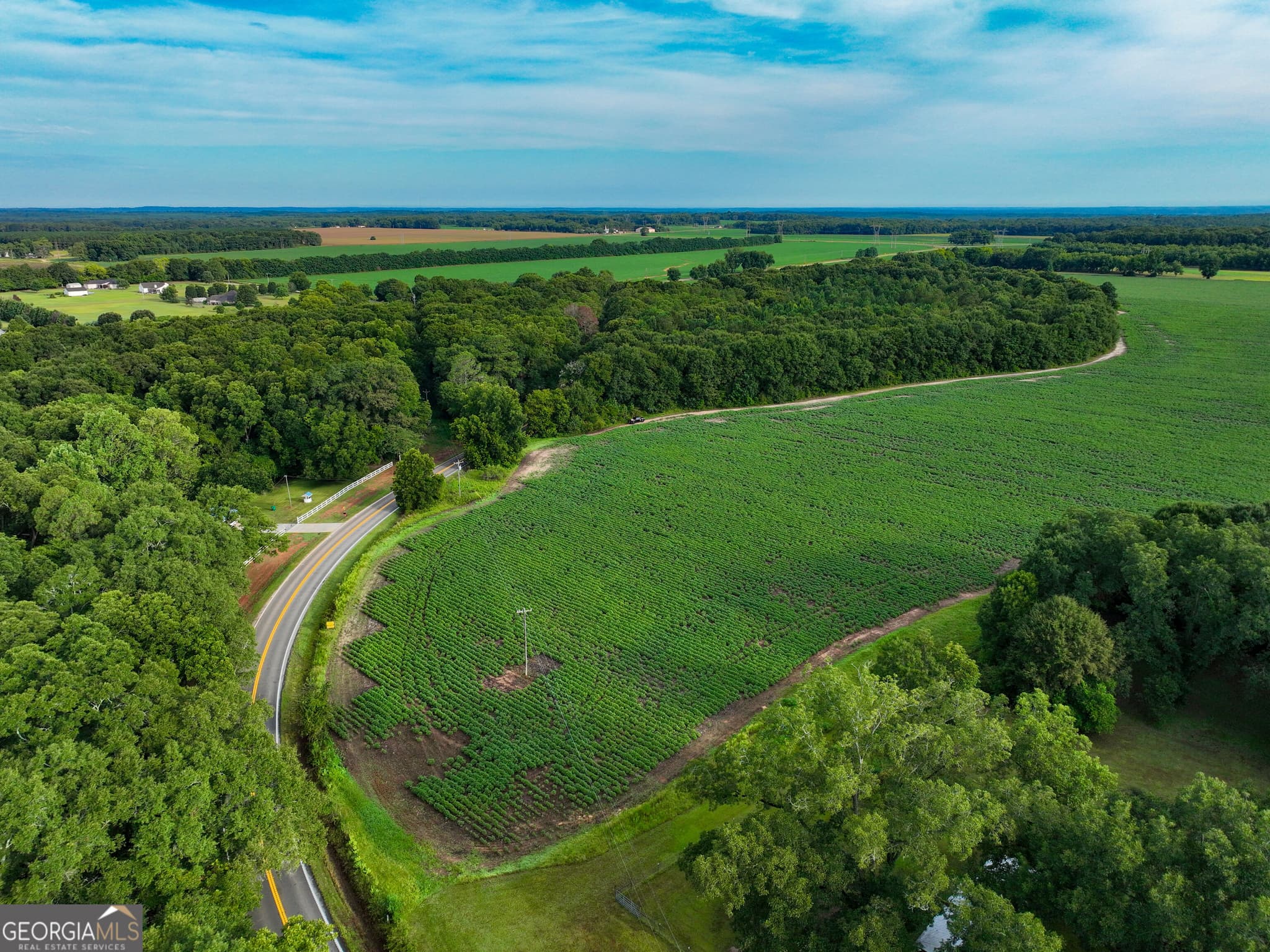agriculture for sale at 0 Highway 42, Byron, GA 31008 — photo 4