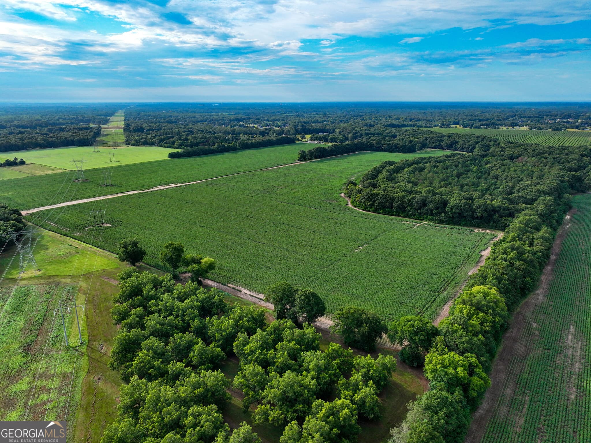 agriculture for sale at 0 Highway 42, Byron, GA 31008 — photo 8
